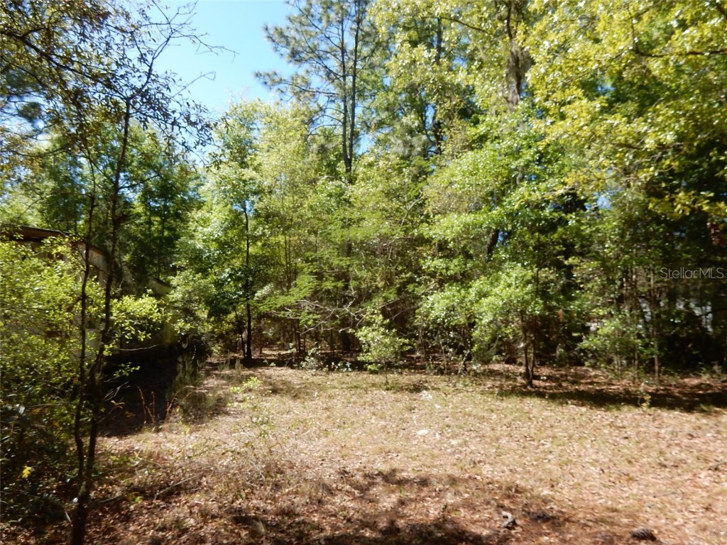 6638 NE 94th Avenue Bronson FL 32621 OM654410 image1