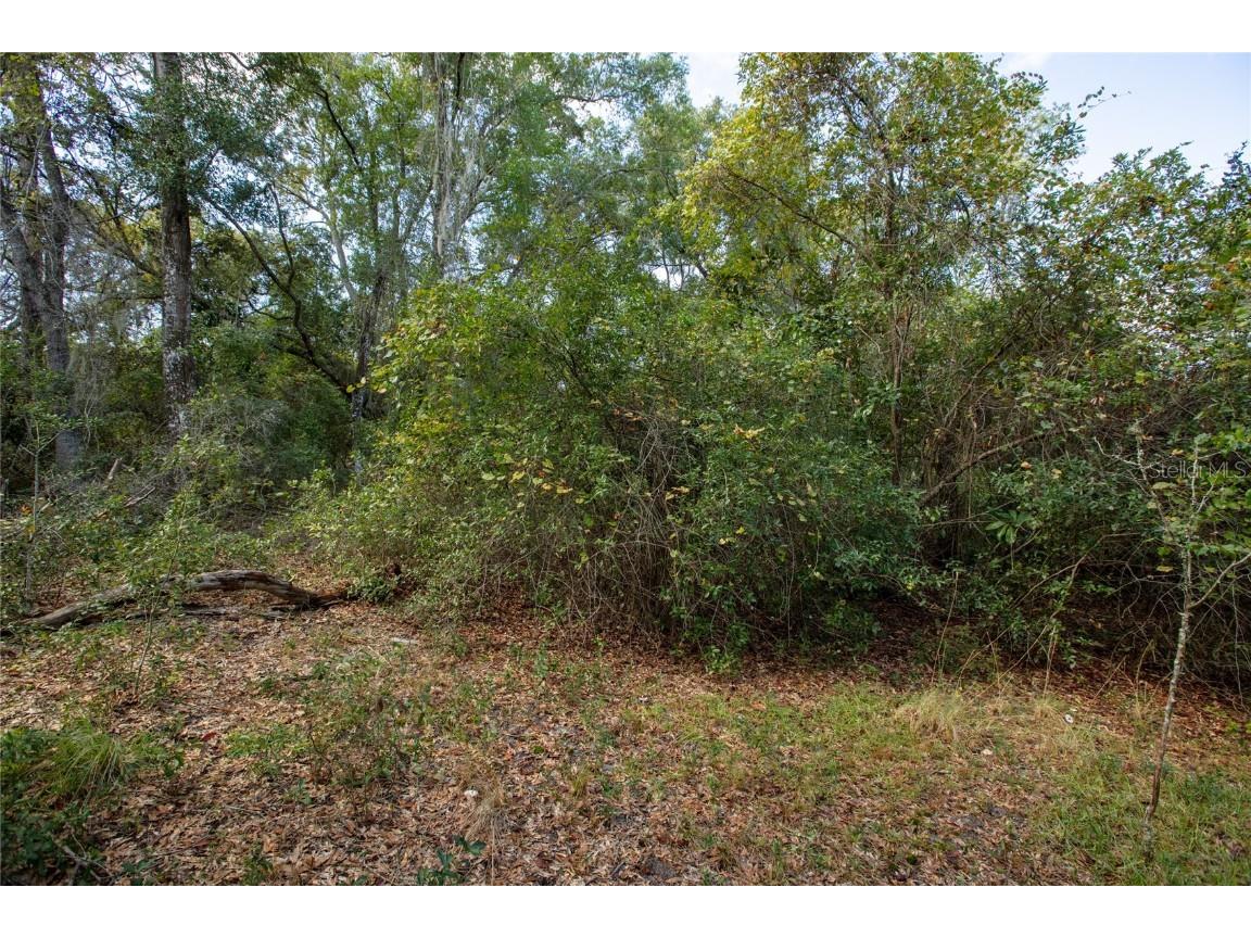 6639 County Road 214 Keystone Heights FL 32656 GC535138 image10