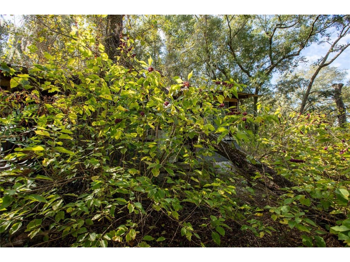 6639 County Road 214 Keystone Heights FL 32656 GC535138 image14