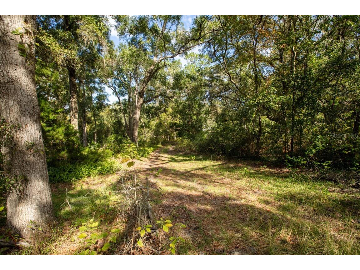6639 County Road 214 Keystone Heights FL 32656 GC535138 image15
