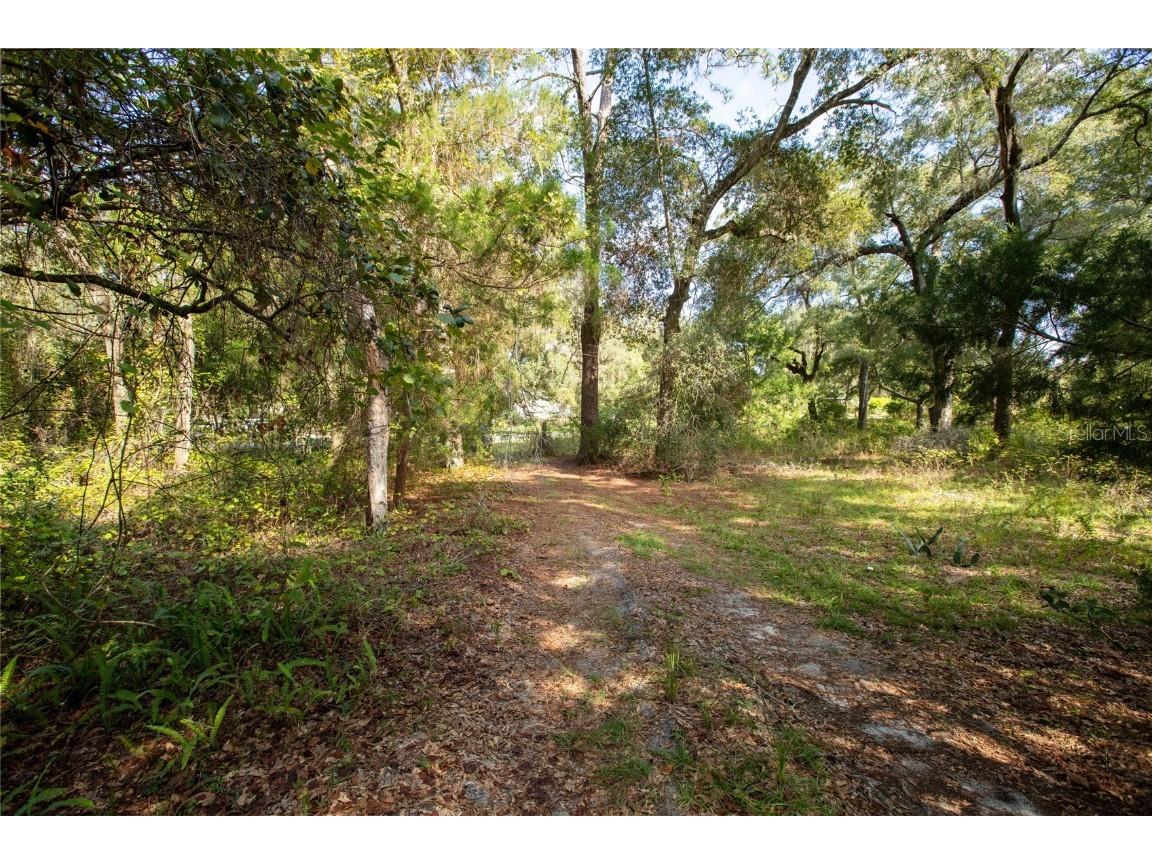 6639 County Road 214 Keystone Heights FL 32656 GC535138 image16