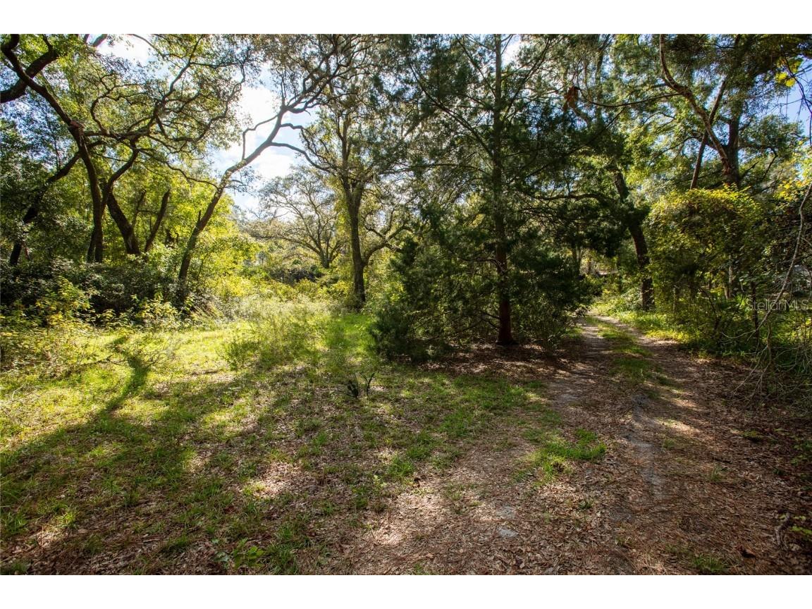 6639 County Road 214 Keystone Heights FL 32656 GC535138 image17