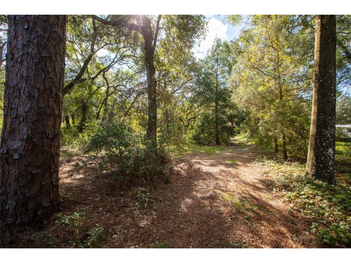 6639 County Road 214 Keystone Heights FL 32656 GC535138 image18