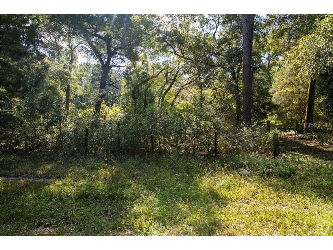 6639 County Road 214 Keystone Heights FL 32656 GC535138 image19