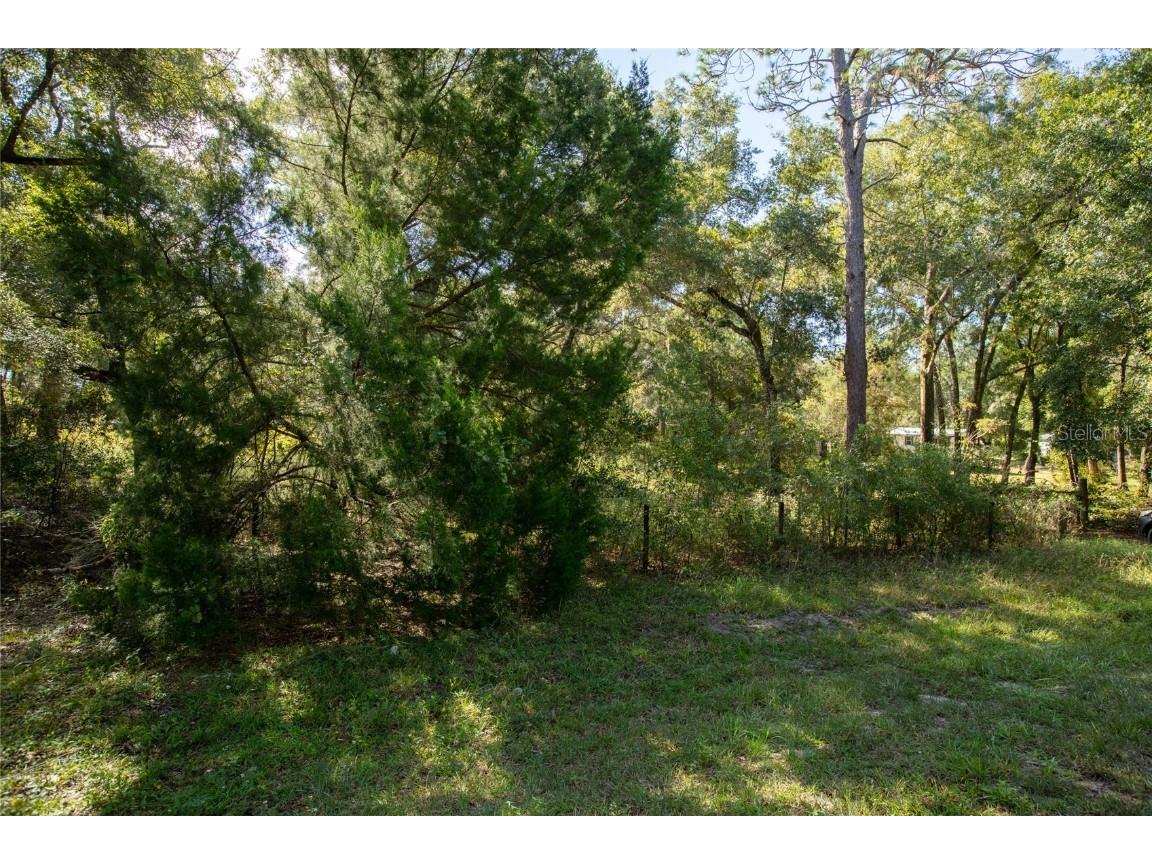 6639 County Road 214 Keystone Heights FL 32656 GC535138 image20