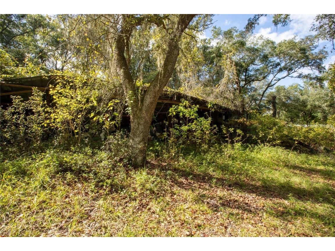 6639 County Road 214 Keystone Heights FL 32656 GC535138 image8