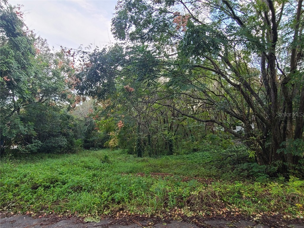 664 Black Ironwood Drive Deland FL 32724 V4927460 image1