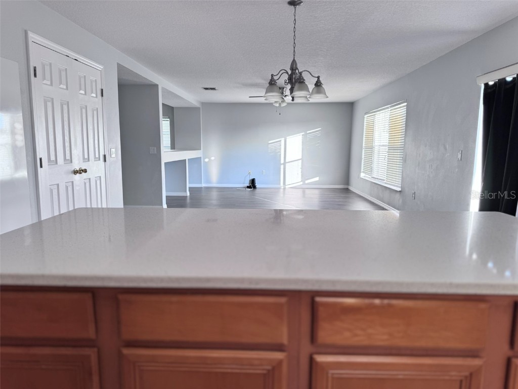 664 Canna Drive Davenport FL 33897 S5139968 image12