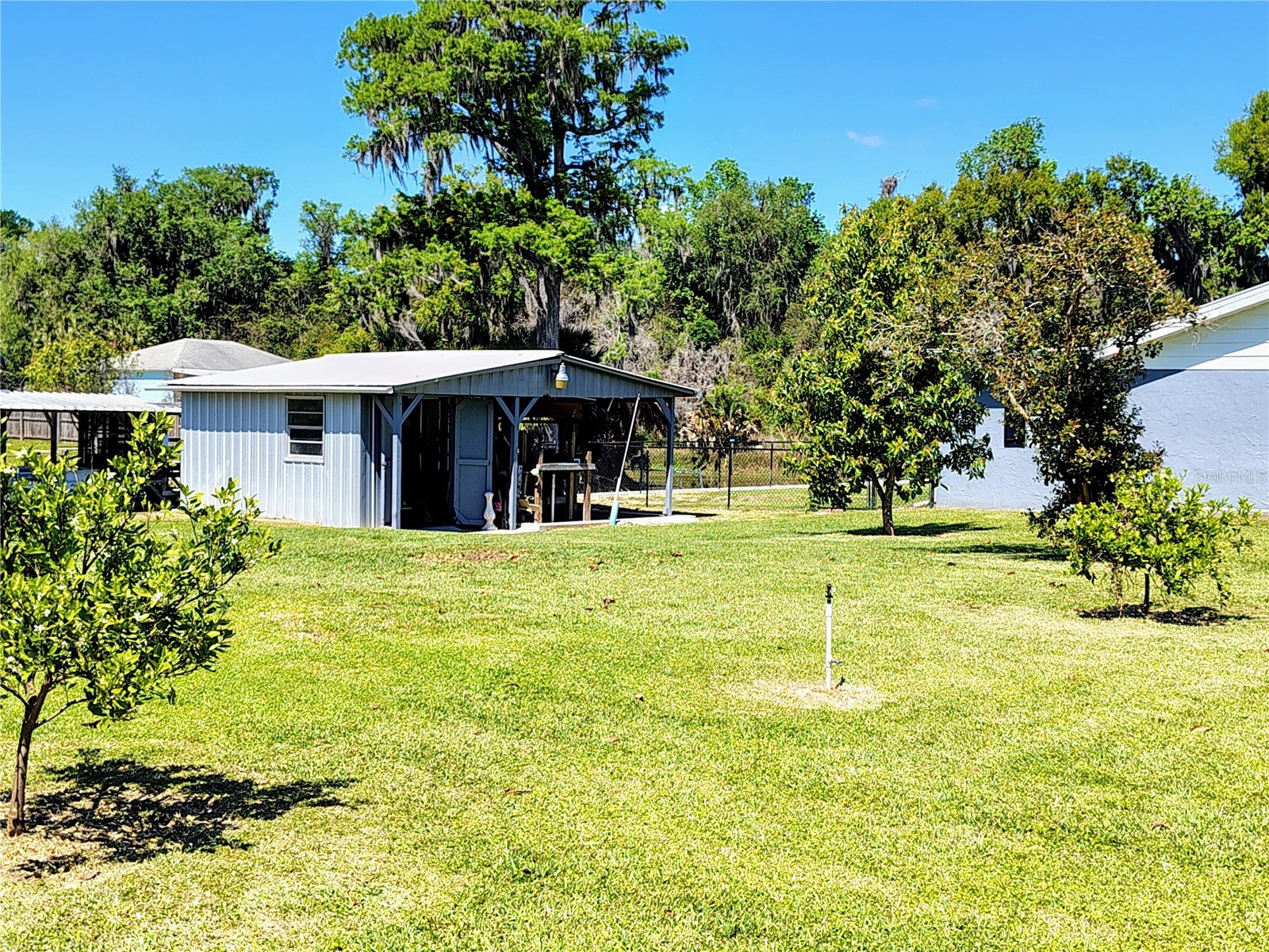 664 Cr 467 Lake Panasoffkee FL 33538 - LAKE PANASOFFKEE G5110029 image36