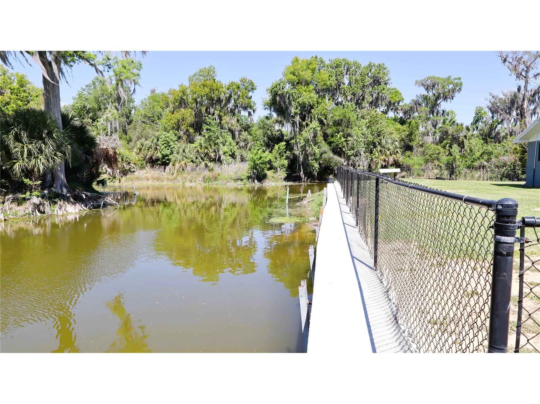 664 Cr 467 Lake Panasoffkee FL 33538 - LAKE PANASOFFKEE G5110029 image37