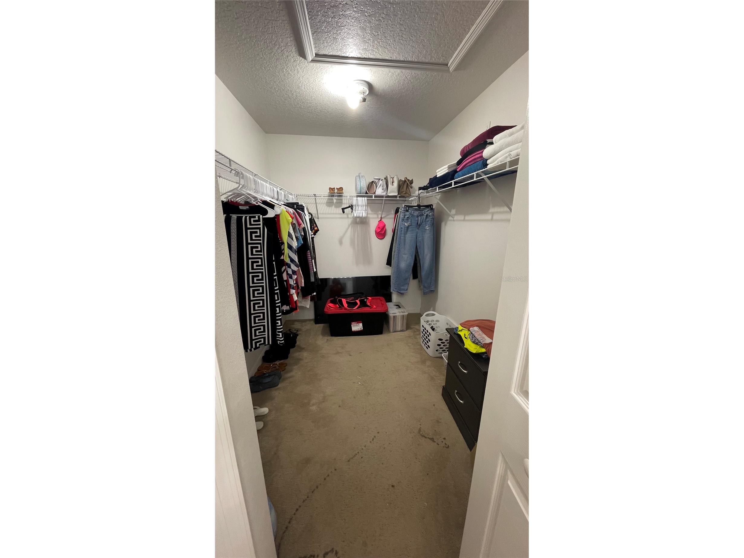 664 Hatchwood Drive Haines City FL 33844 S5152422 image21