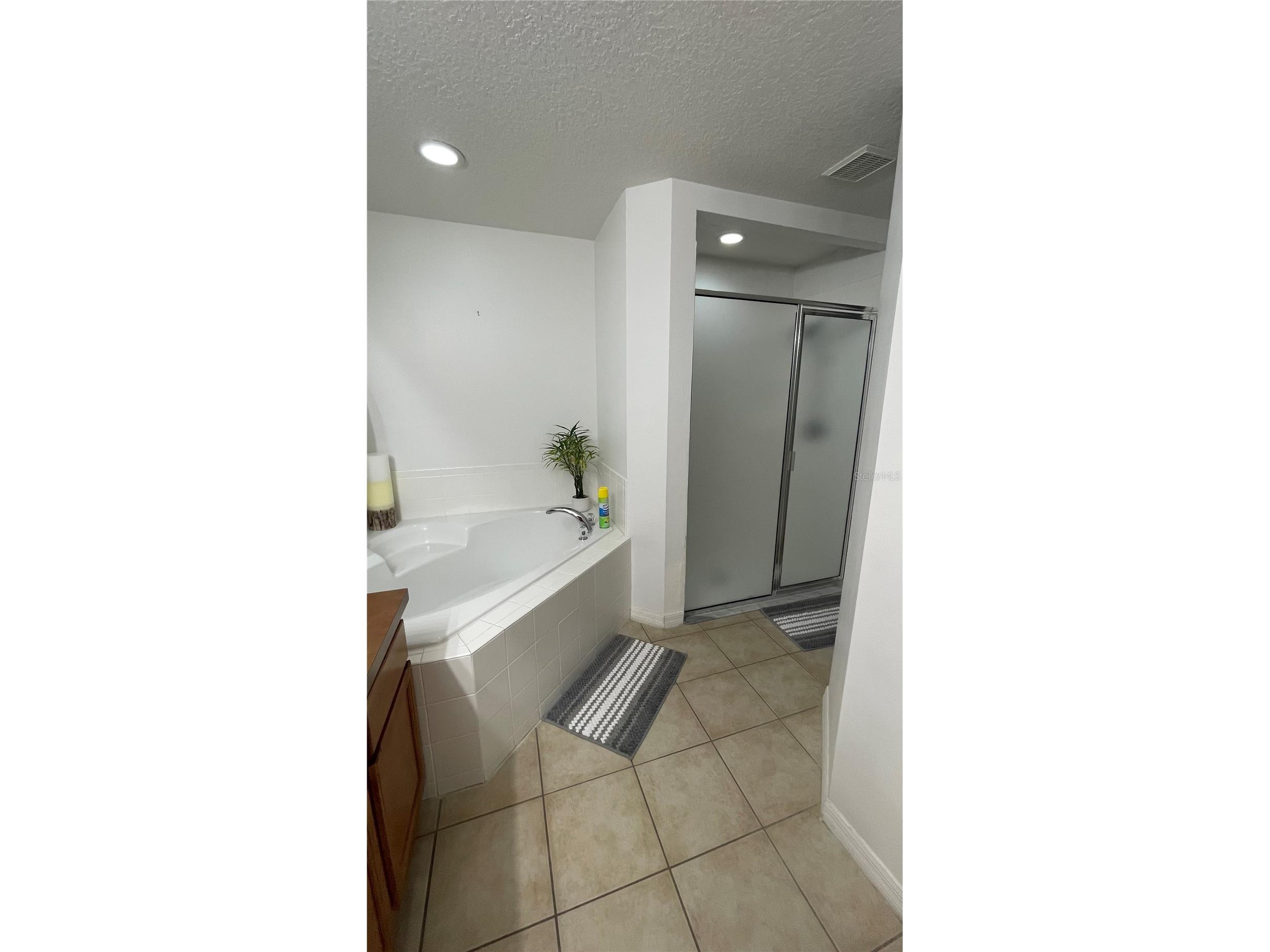 664 Hatchwood Drive Haines City FL 33844 S5152422 image26