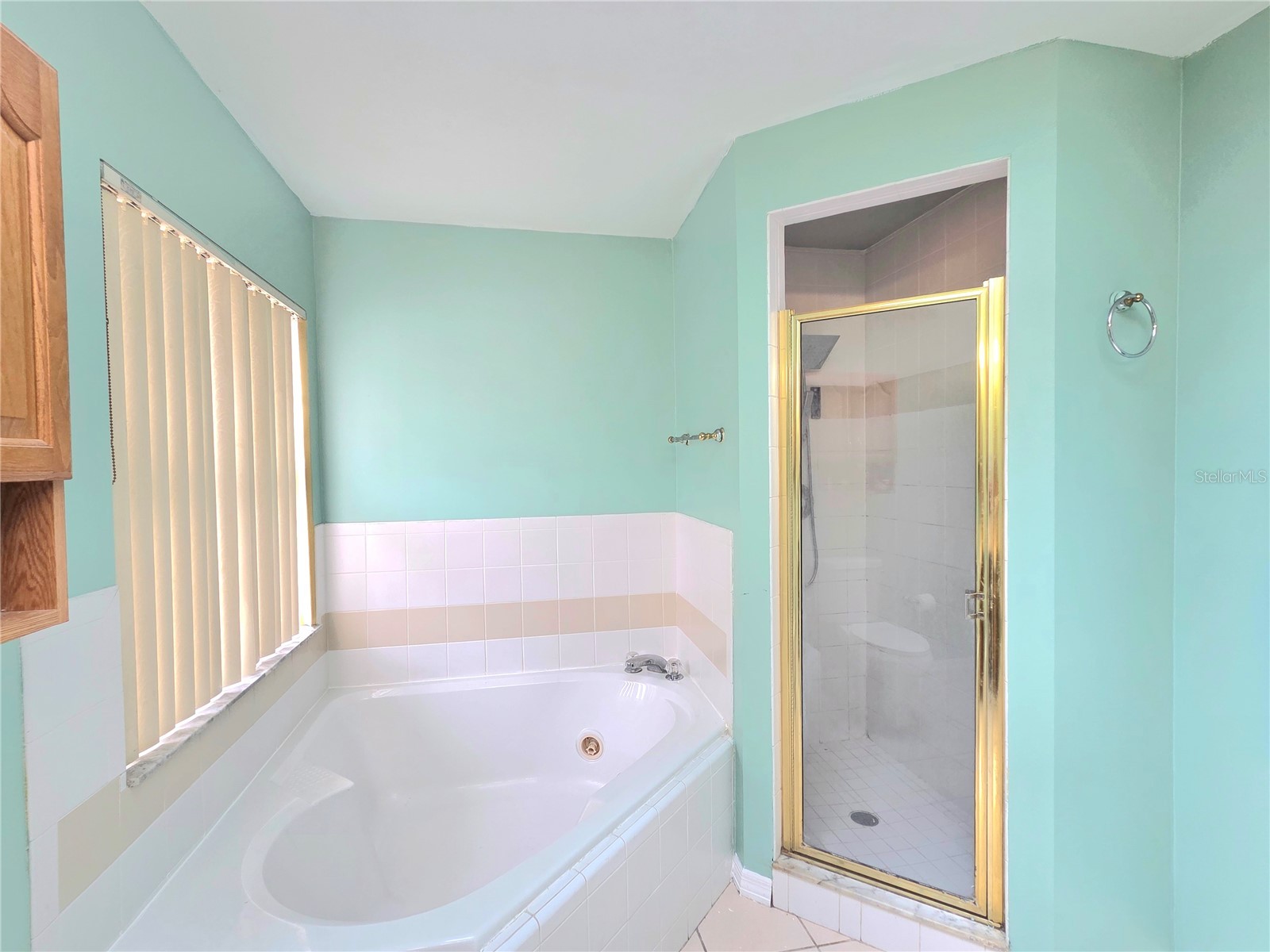 664 Reindeer Drive Poinciana FL 34759 TB8496242 image17