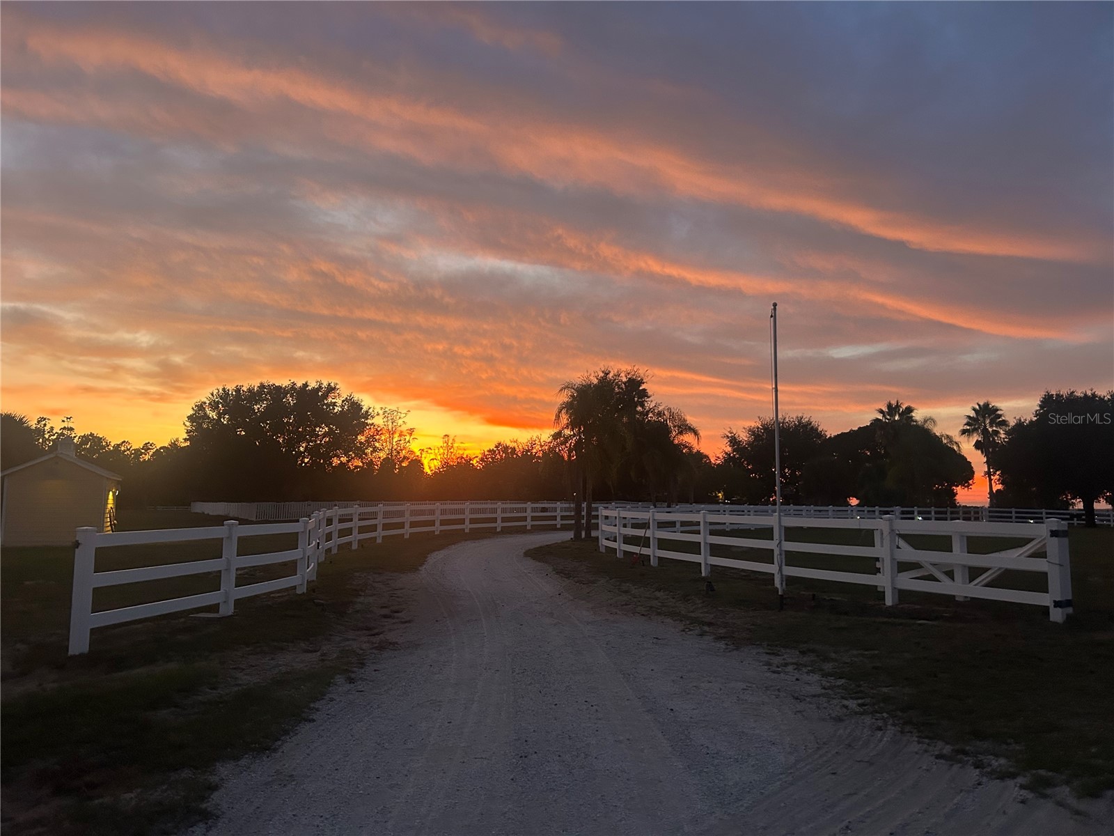 664 S Lake Starr Boulevard Lake Wales FL 33898 - LAKE STARR P4937197 image100