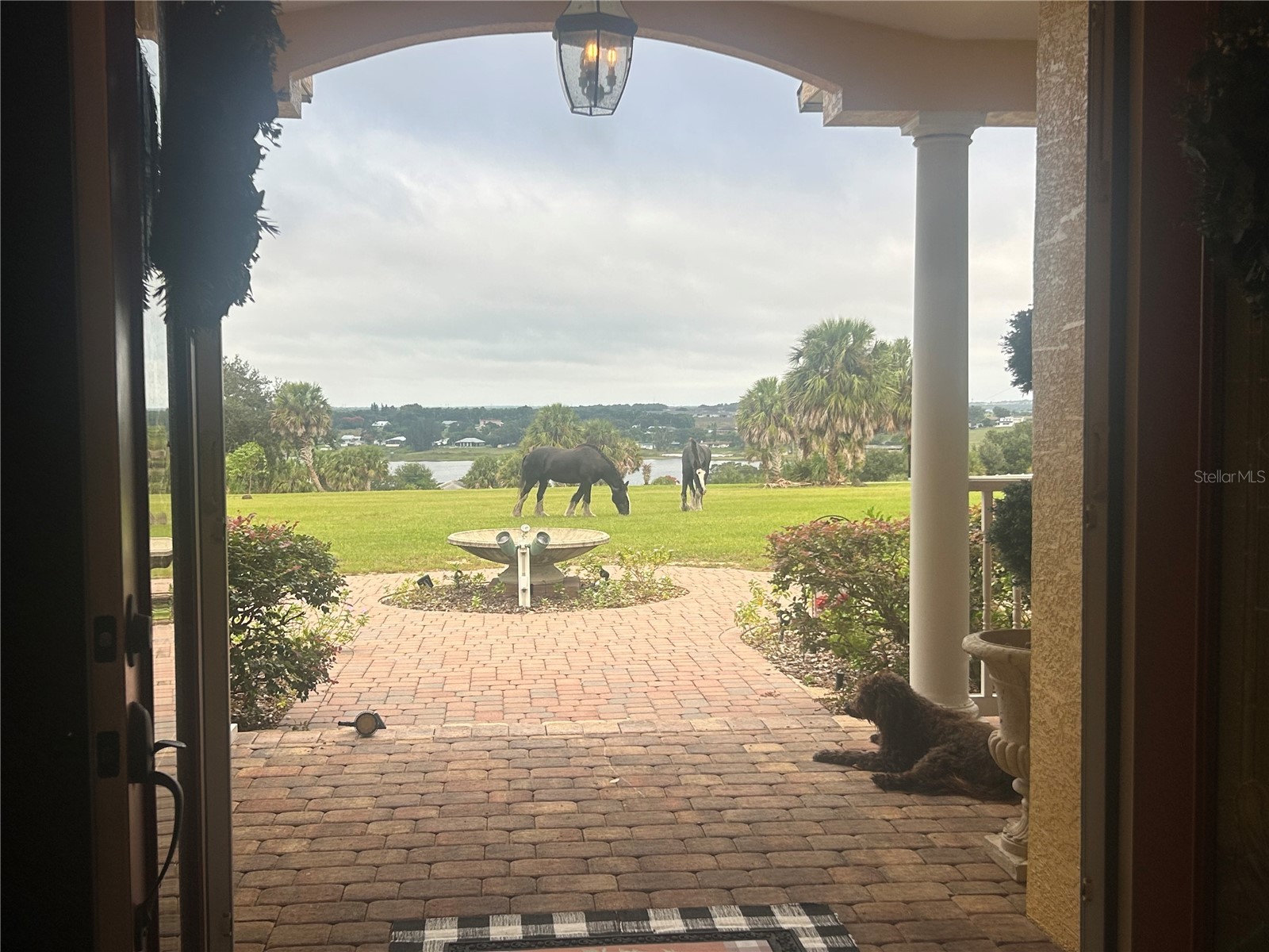 664 S Lake Starr Boulevard Lake Wales FL 33898 - LAKE STARR P4937197 image4