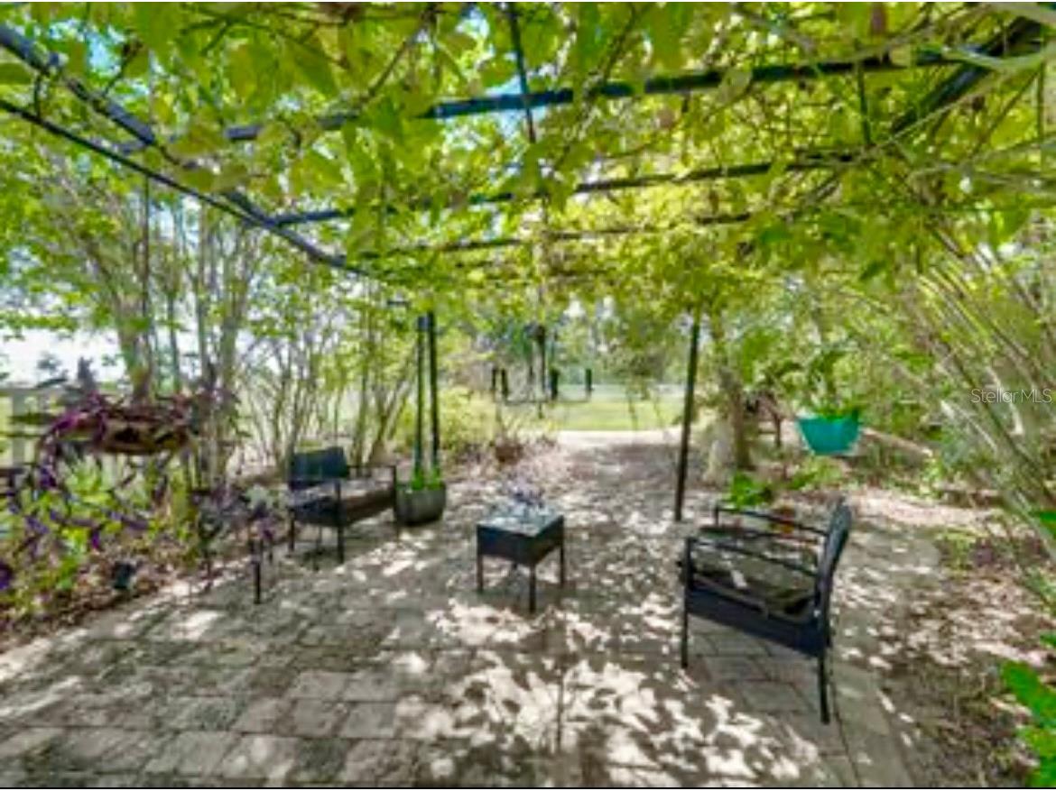 664 S Lake Starr Boulevard Lake Wales FL 33898 - LAKE STARR P4937197 image64