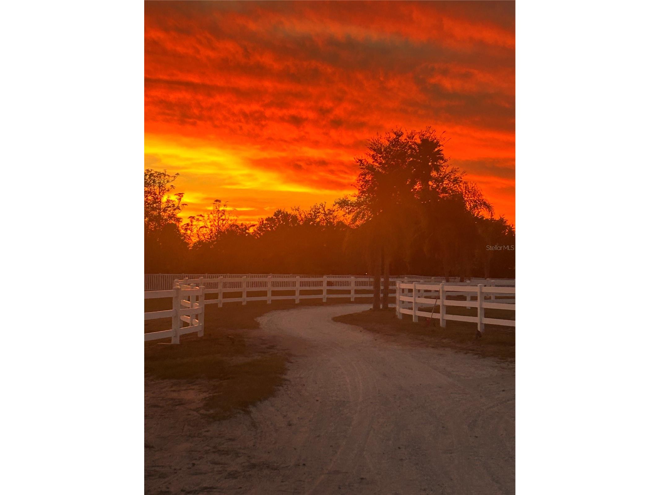 664 S Lake Starr Boulevard Lake Wales FL 33898 - LAKE STARR P4937197 image91