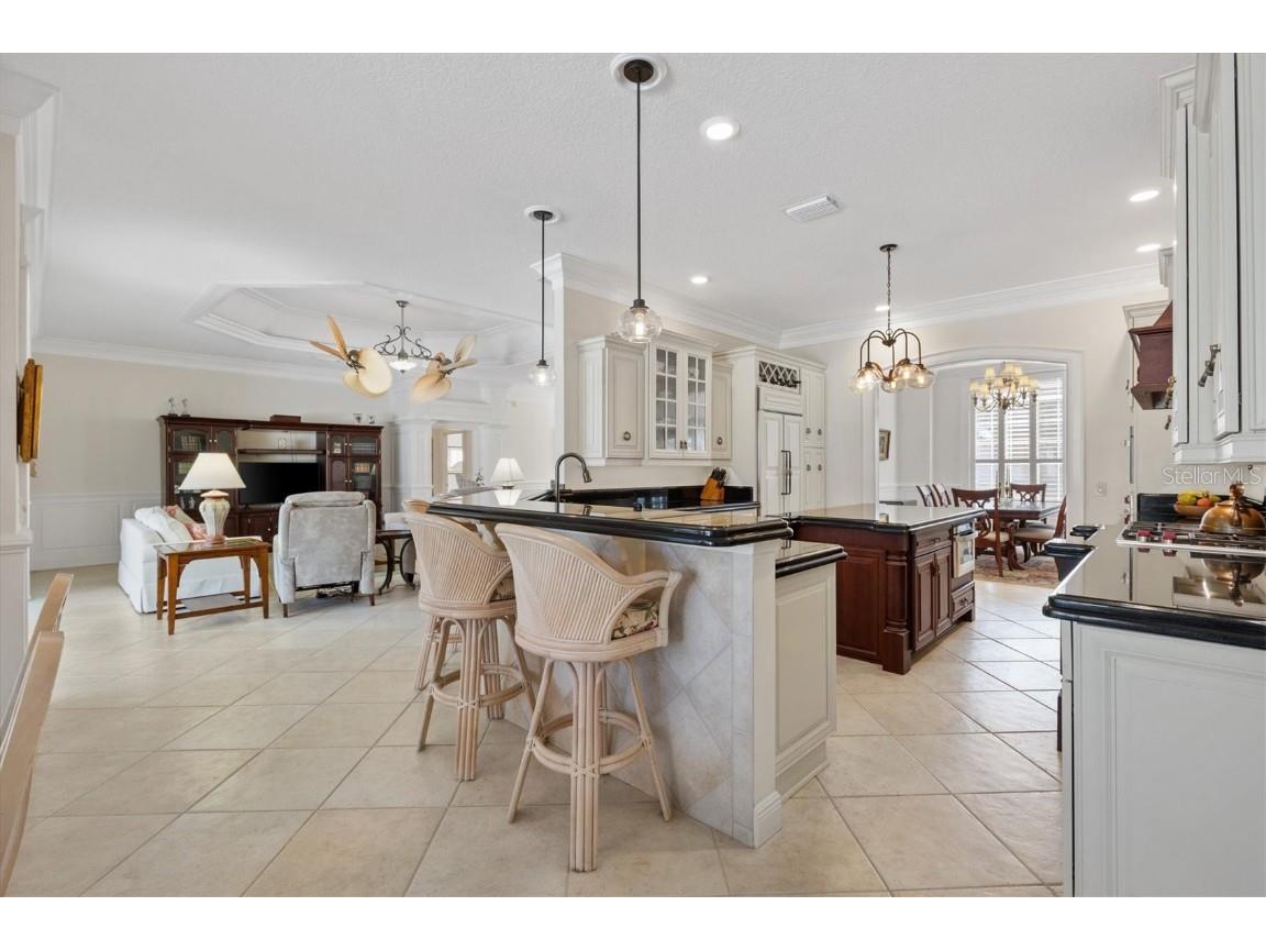 664 Ternberry Forest Drive The Villages FL 32162 G5103786 image22