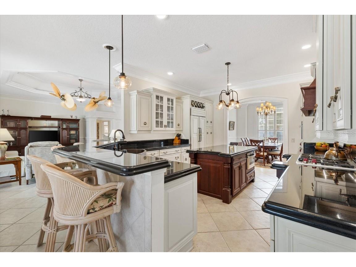 664 Ternberry Forest Drive The Villages FL 32162 G5103786 image23