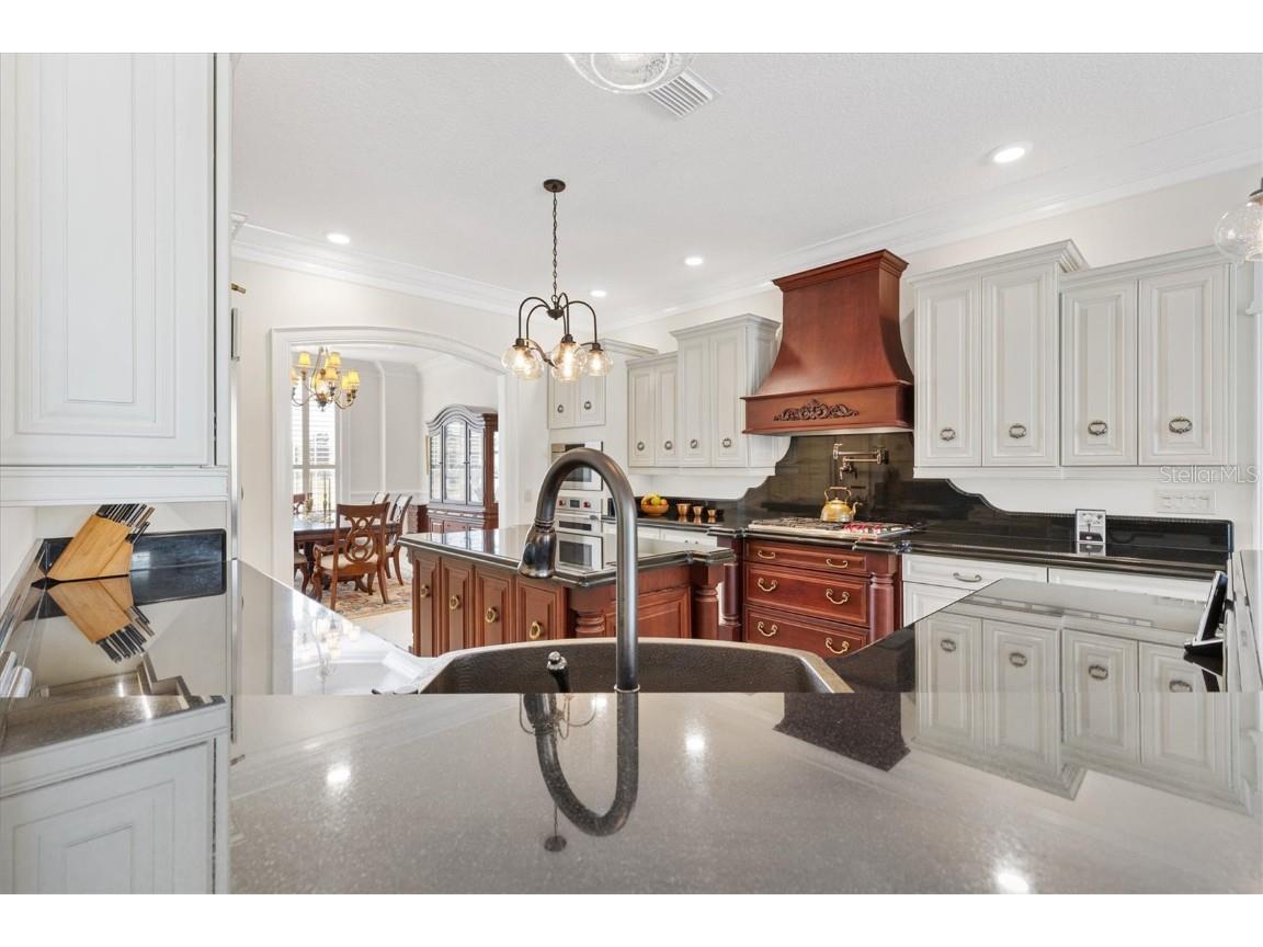 664 Ternberry Forest Drive The Villages FL 32162 G5103786 image24