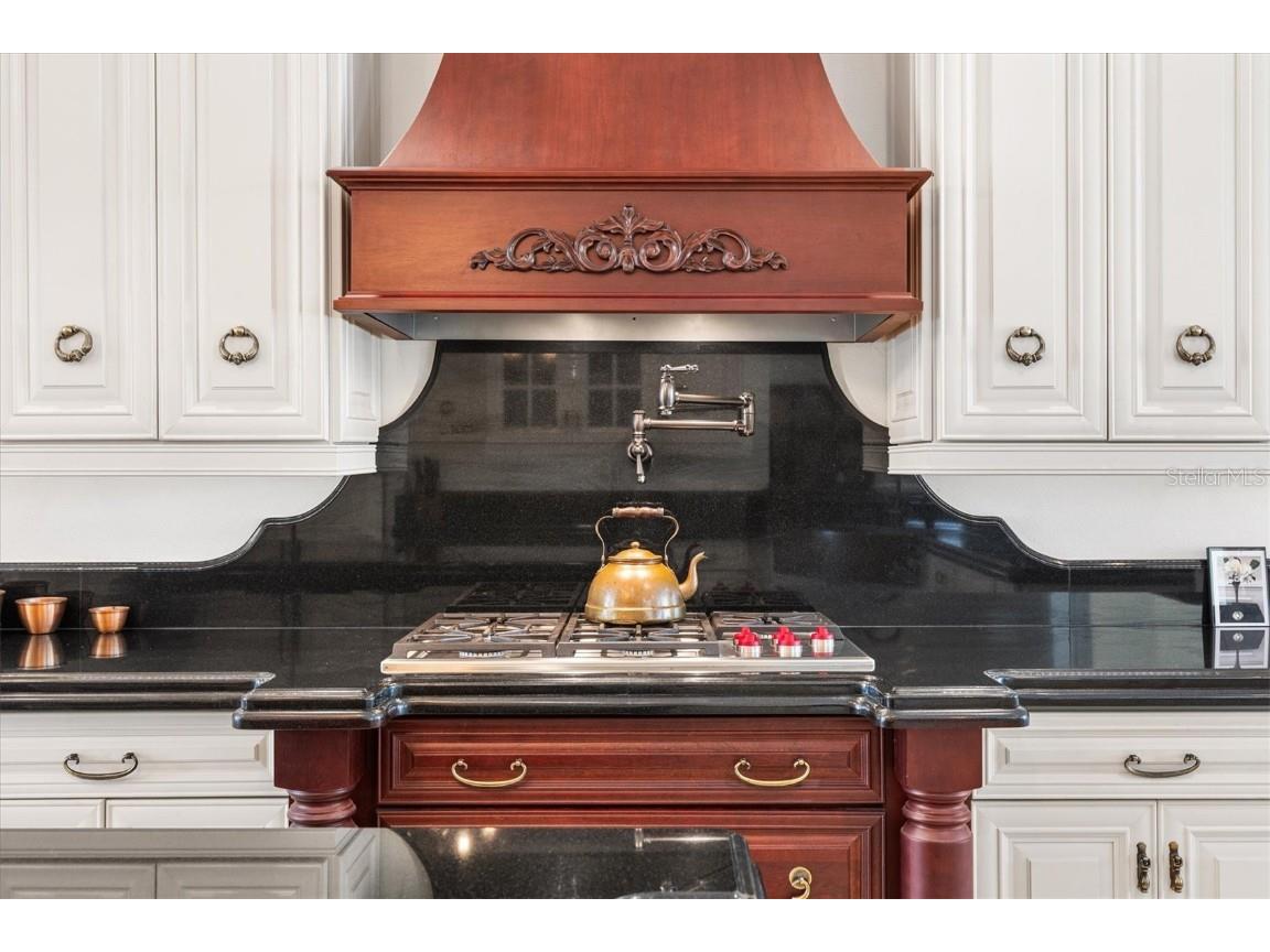 664 Ternberry Forest Drive The Villages FL 32162 G5103786 image25