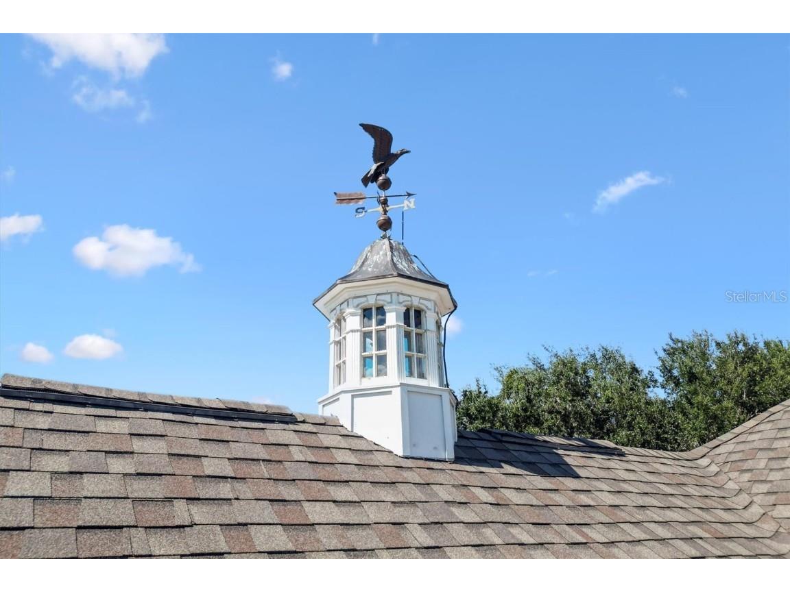 664 Ternberry Forest Drive The Villages FL 32162 G5103786 image49