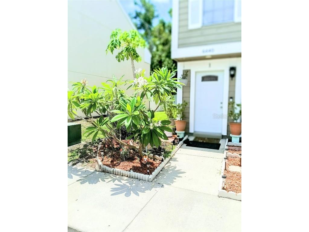 6640 121st Avenue #1 Largo FL 33773 O6320243 image26