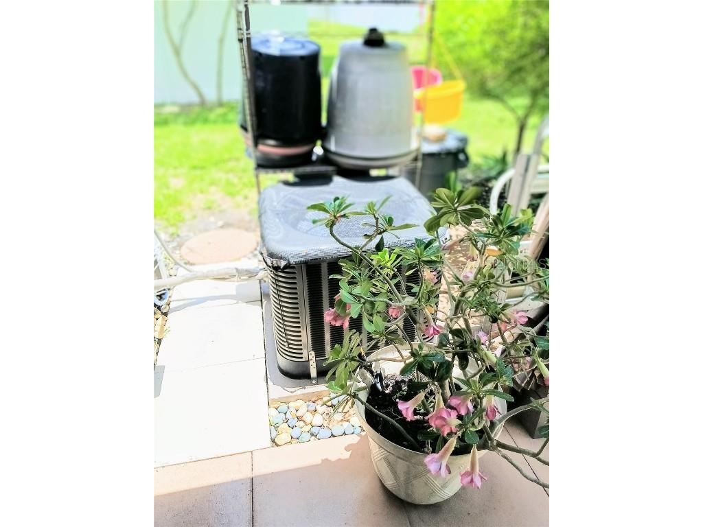 6640 121st Avenue #1 Largo FL 33773 O6320243 image27