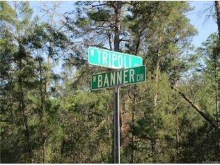 6640 N Tripoli Terrace Dunnellon FL 34433 G5098150 image1