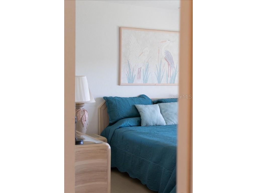 6640 Pineview Terrace #6640 Bradenton FL 34203 A4671441 image23