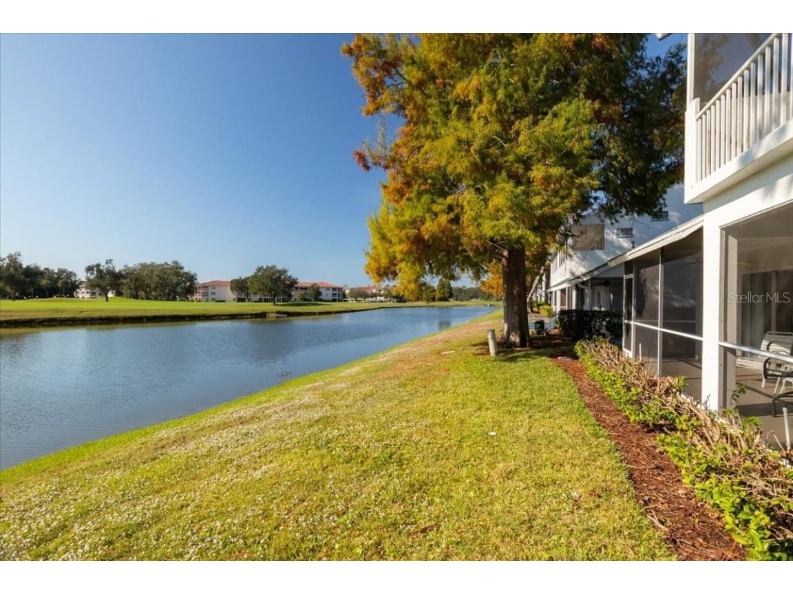 6640 Pineview Terrace #6640 Bradenton FL 34203 A4671441 image50