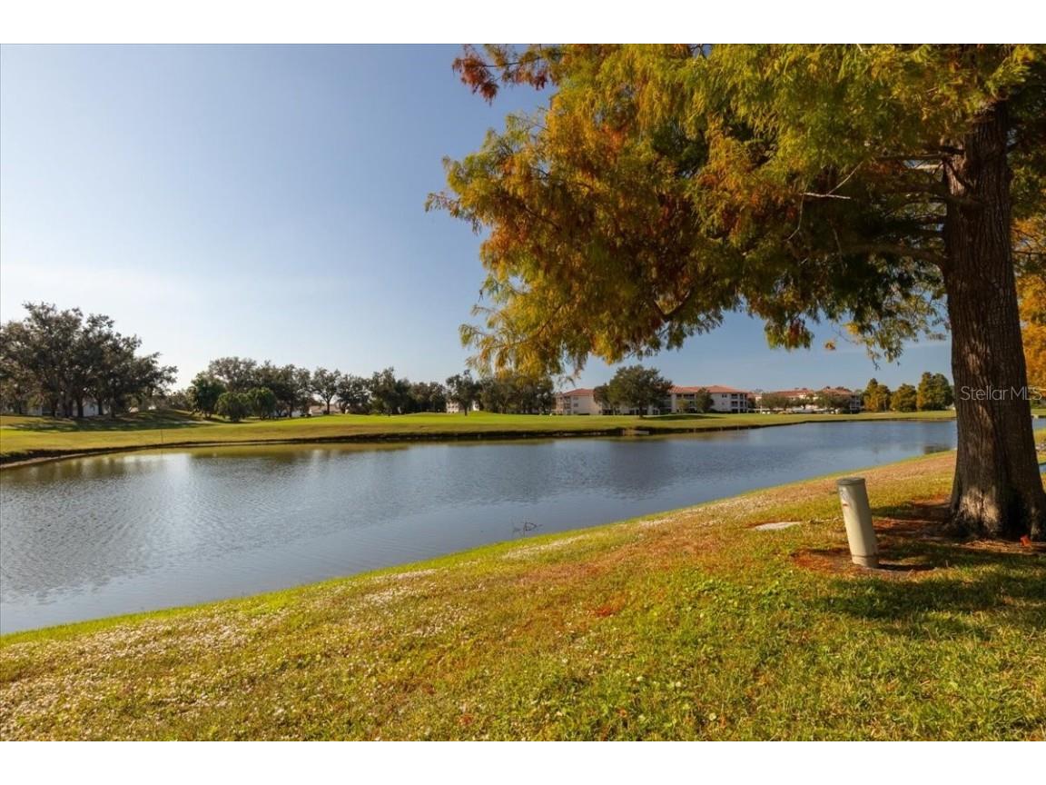 6640 Pineview Terrace #6640 Bradenton FL 34203 A4671441 image51