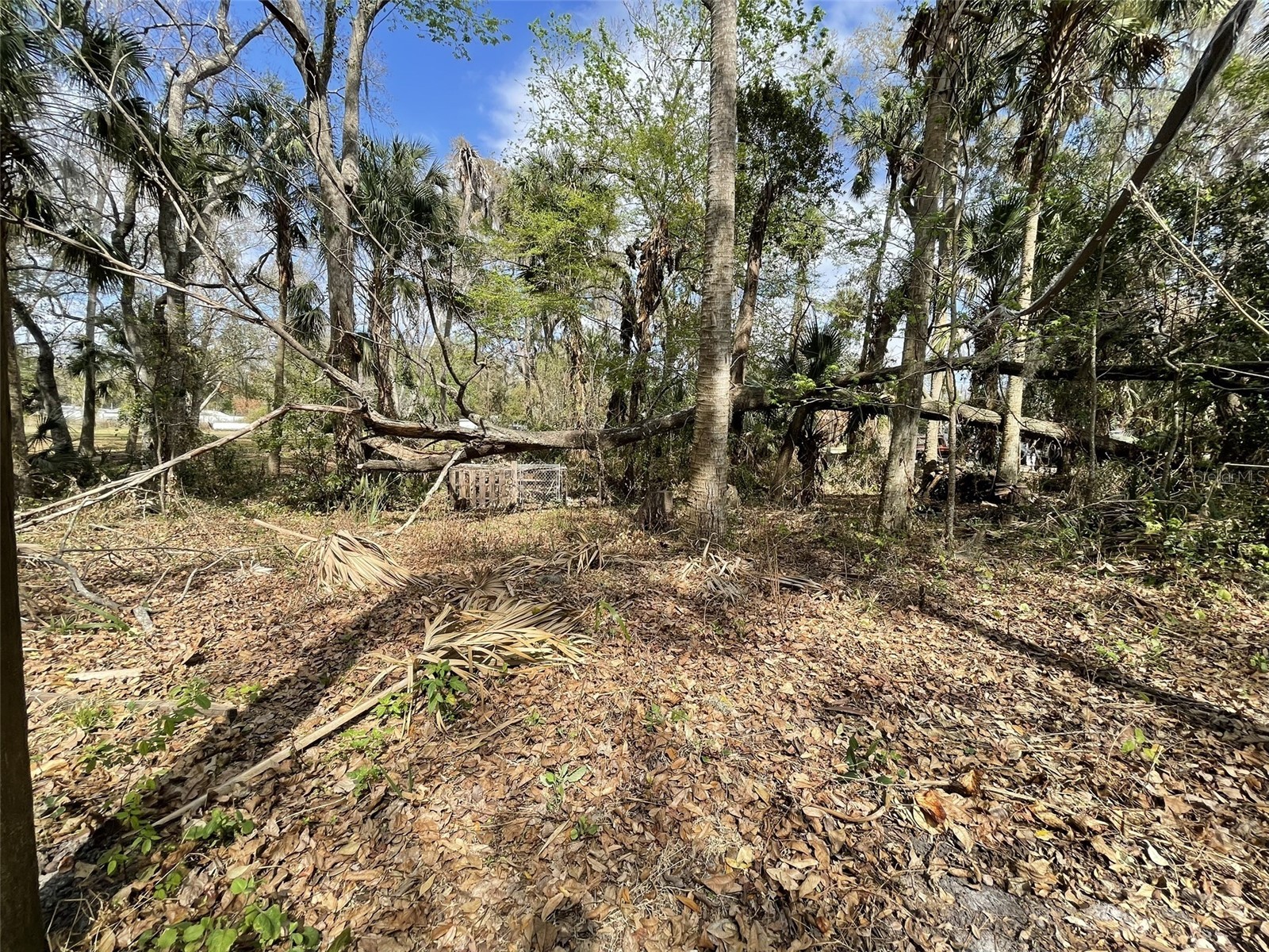6641 Twilight Court Davenport FL 33896 S5144798 image11