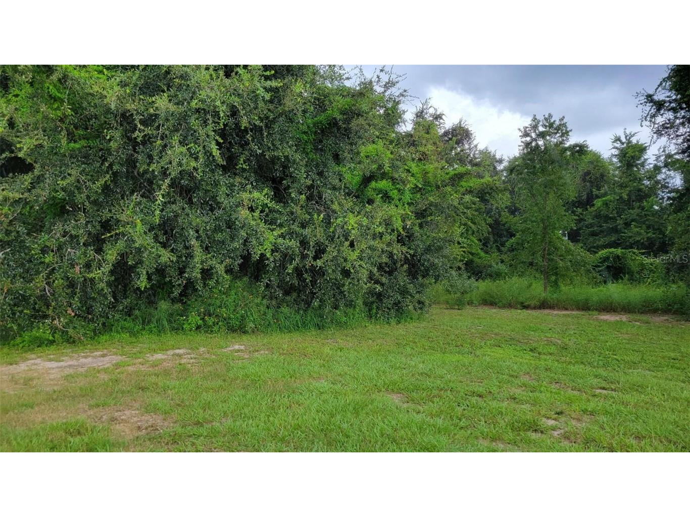 6641 Wynn Lane Groveland FL 34736 P4922810 image2