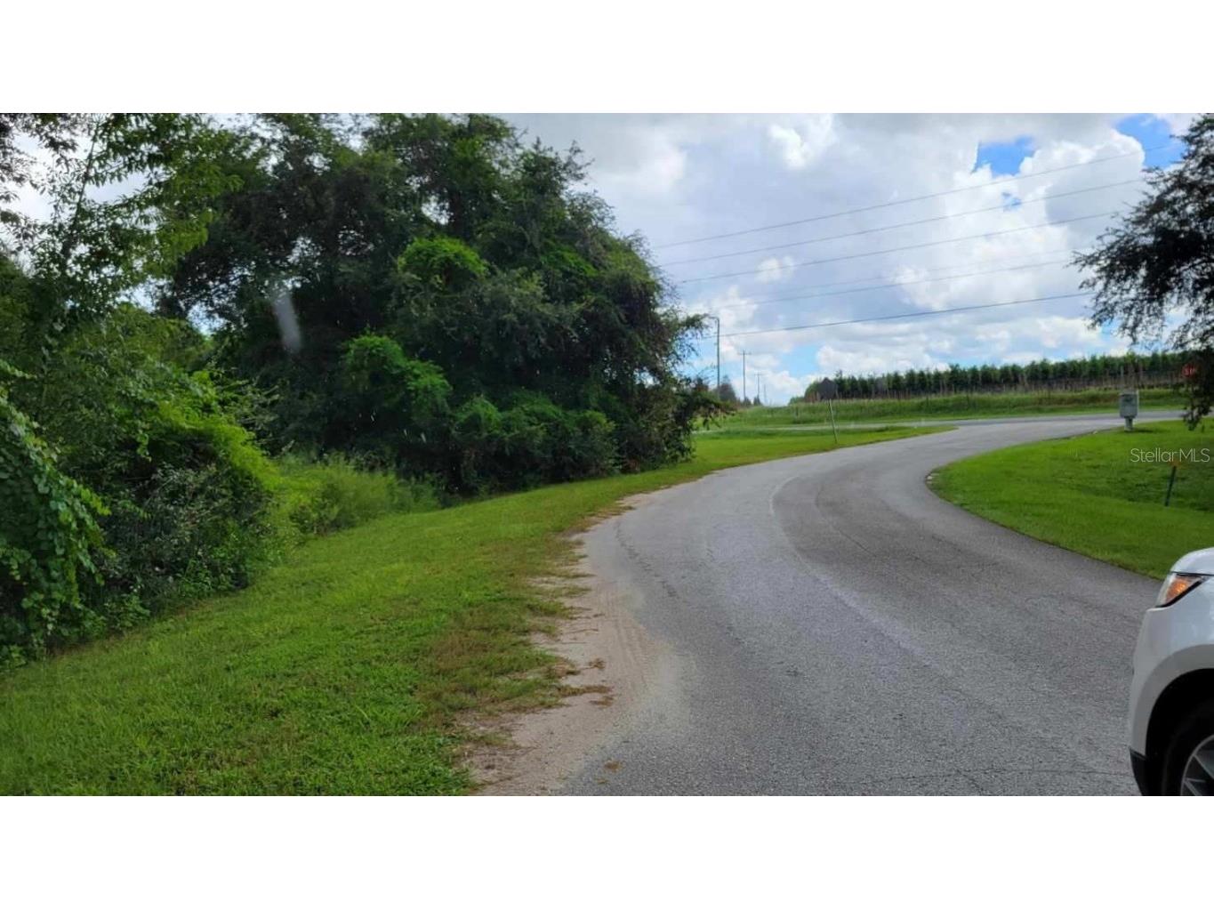 6641 Wynn Lane Groveland FL 34736 P4922810 image3