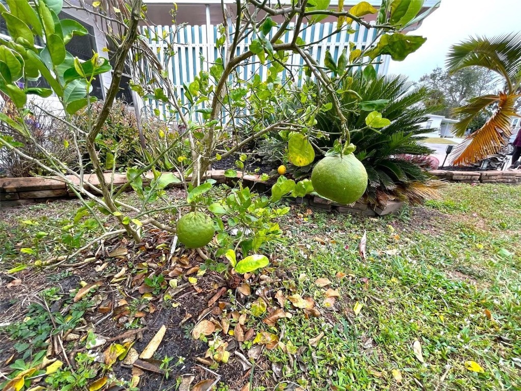 6642 Acacia Court North Port FL 34287 C7517851 image64