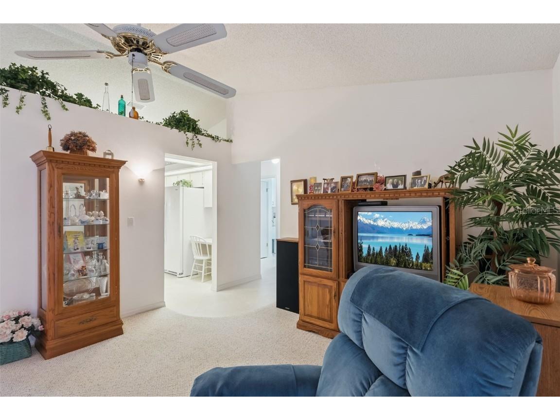 6642 Borg Street Leesburg FL 34748 G5103772 image11