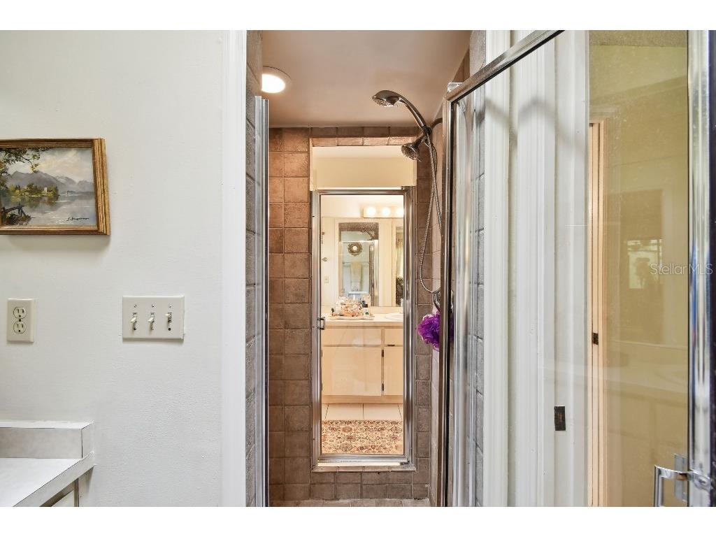 6642 Parson Brown Drive Orlando FL 32819 TB8400876 image24