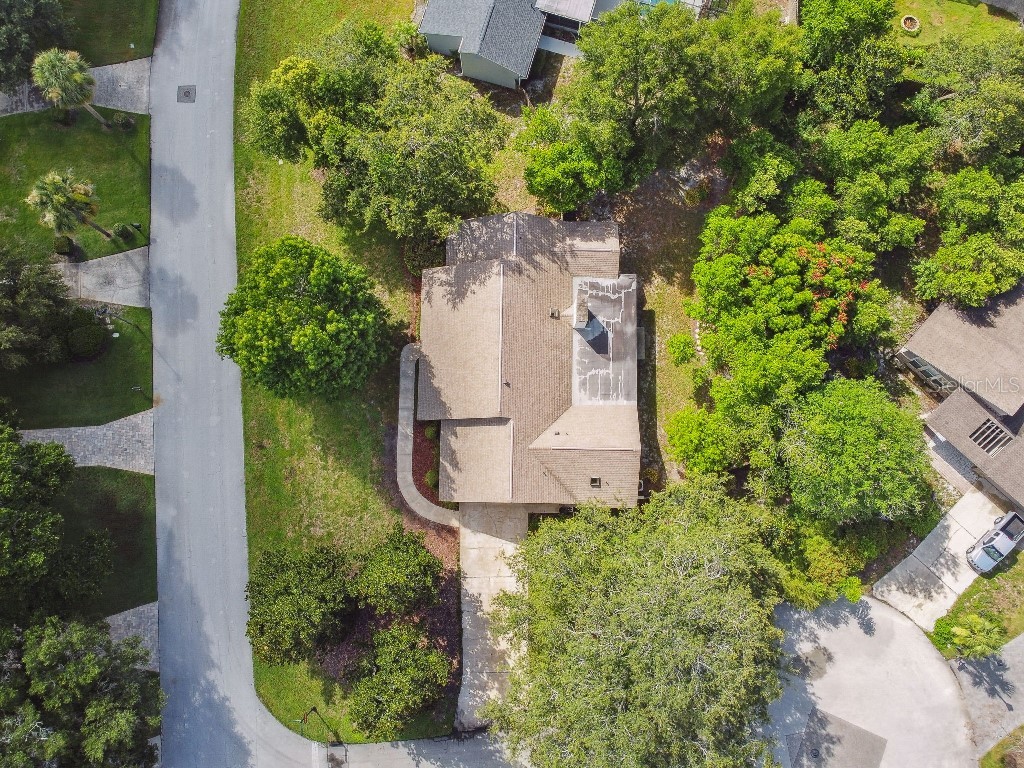 6642 Parson Brown Drive Orlando FL 32819 TB8400876 image35