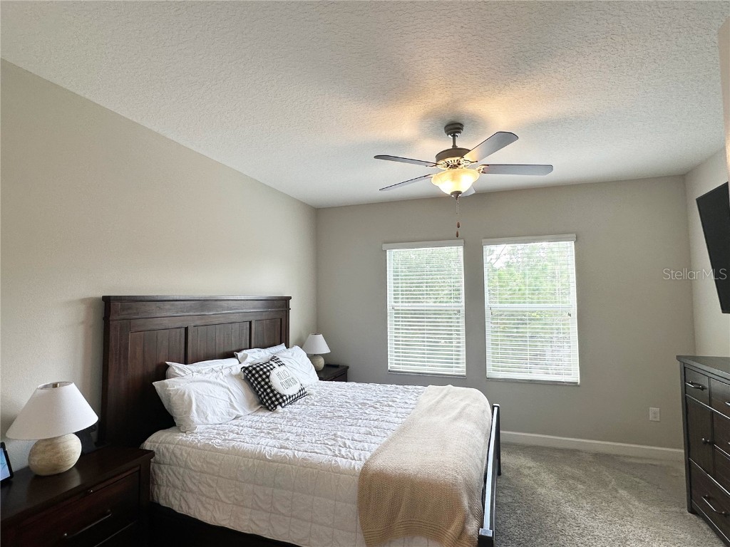 6642 Rocky Park Street Tampa FL 33625 TB8436523 image18