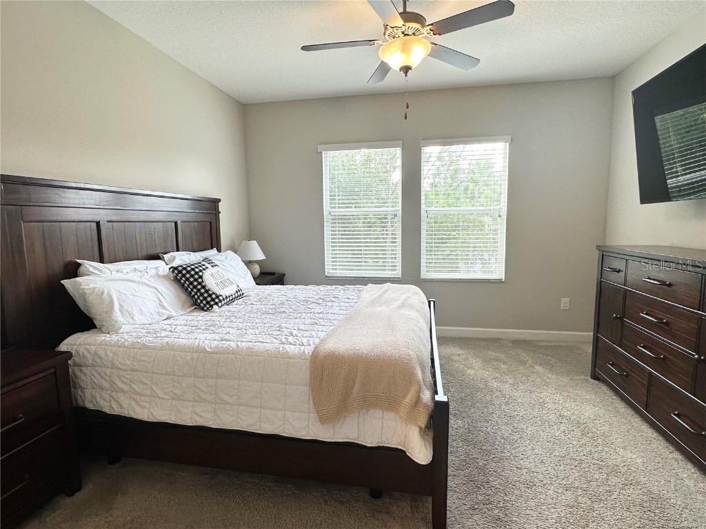 6642 Rocky Park Street Tampa FL 33625 TB8436523 image19