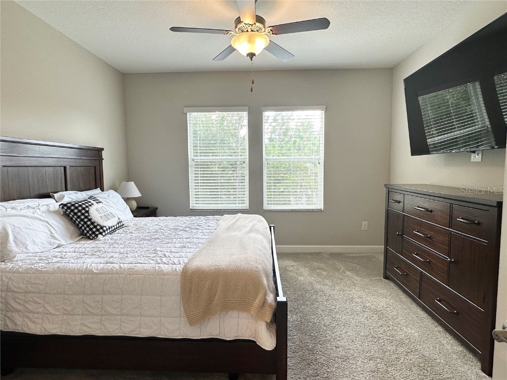 6642 Rocky Park Street Tampa FL 33625 TB8436523 image20