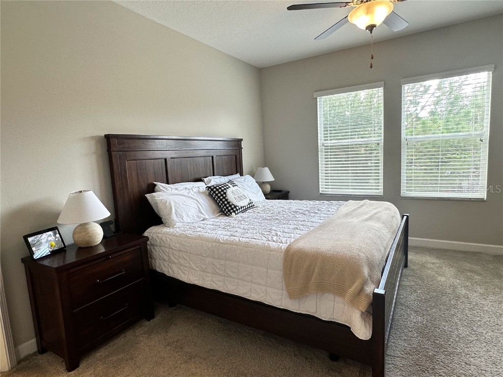 6642 Rocky Park Street Tampa FL 33625 TB8436523 image21