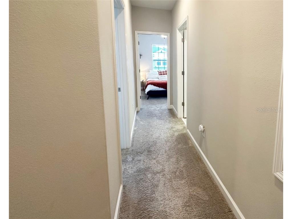 6642 Rocky Park Street Tampa FL 33625 TB8436523 image30