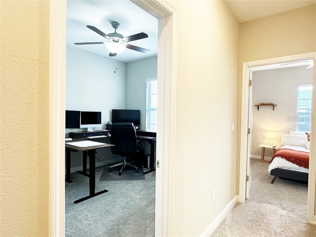 6642 Rocky Park Street Tampa FL 33625 TB8436523 image31