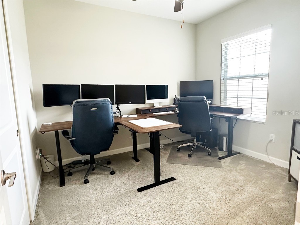 6642 Rocky Park Street Tampa FL 33625 TB8436523 image32