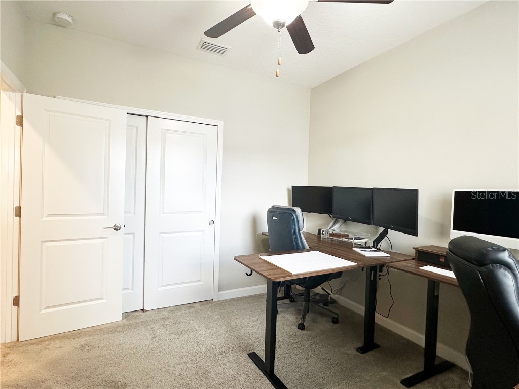 6642 Rocky Park Street Tampa FL 33625 TB8436523 image33