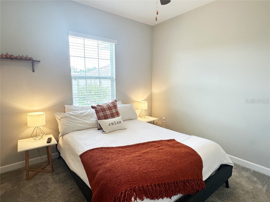 6642 Rocky Park Street Tampa FL 33625 TB8436523 image40