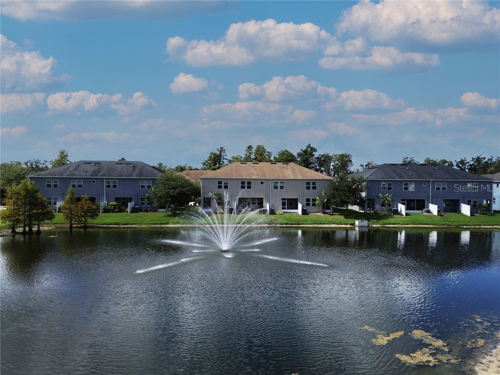 6642 Rocky Park Street Tampa FL 33625 TB8436523 image44