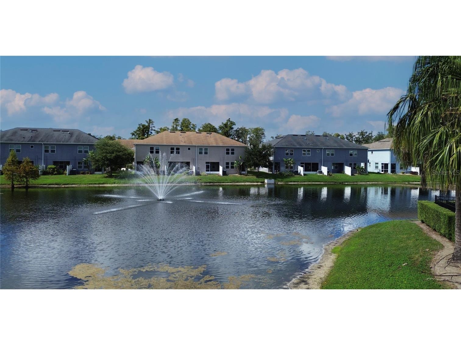 6642 Rocky Park Street Tampa FL 33625 TB8436523 image45